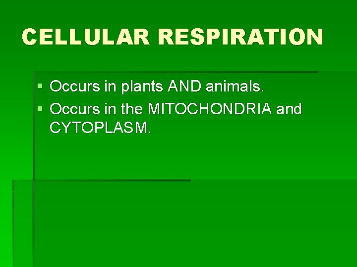 CELLULAR RESPIRATION § Occurs in plants AND animals. § Occurs in the MITOCHONDRIA and