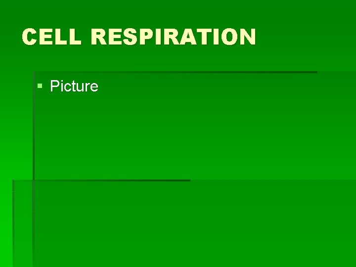 CELL RESPIRATION § Picture 