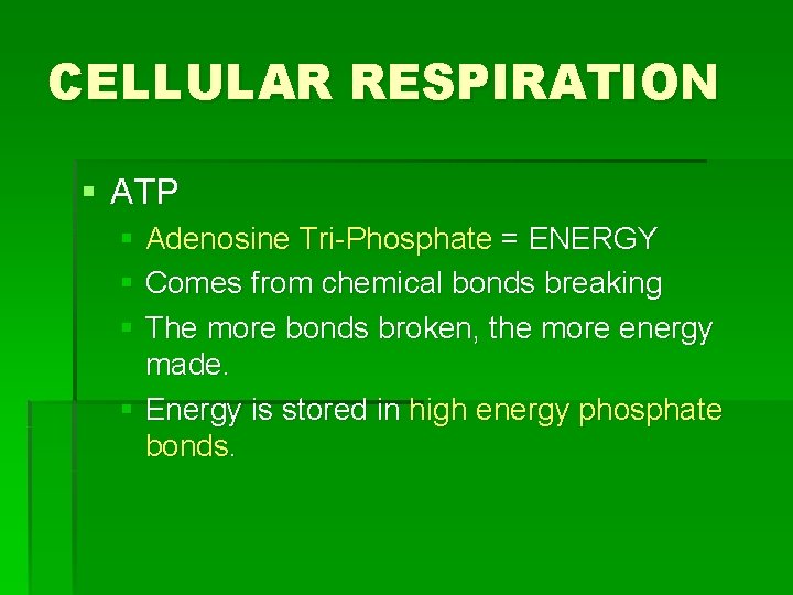 CELLULAR RESPIRATION § ATP § Adenosine Tri-Phosphate = ENERGY § Comes from chemical bonds