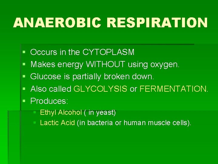ANAEROBIC RESPIRATION § § § Occurs in the CYTOPLASM Makes energy WITHOUT using oxygen.