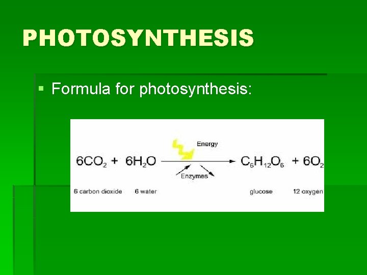 PHOTOSYNTHESIS § Formula for photosynthesis: 