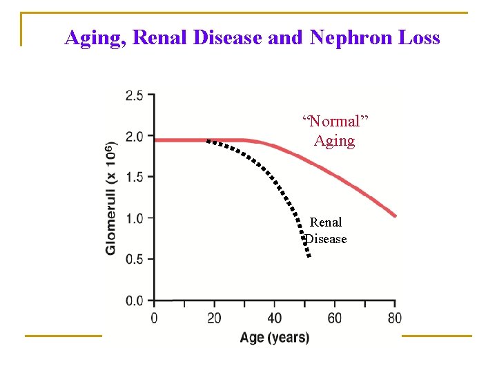 Aging, Renal Disease and Nephron Loss “Normal” Aging Renal Disease Aging, Renal Disease and Nephron Loss “Normal” Aging Renal Disease