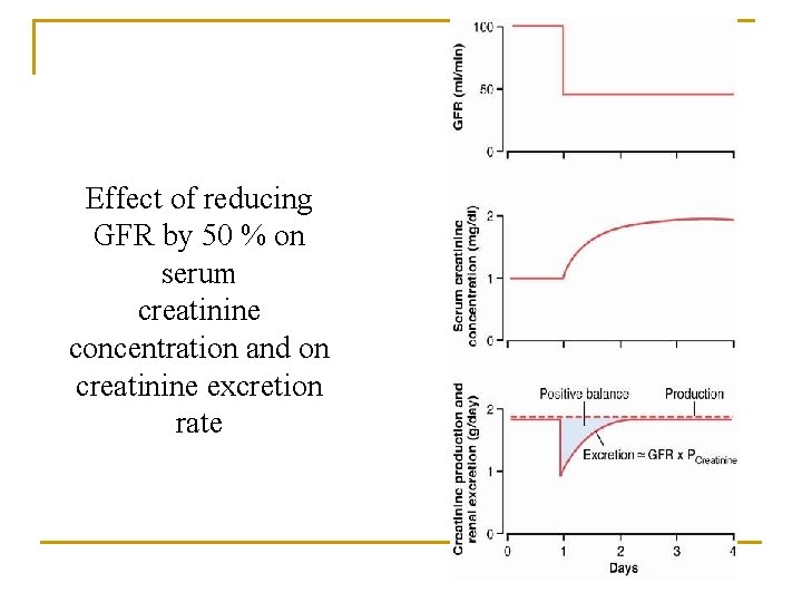 Effect of reducing GFR by 50 % on serum creatinine concentration and on creatinine Effect of reducing GFR by 50 % on serum creatinine concentration and on creatinine