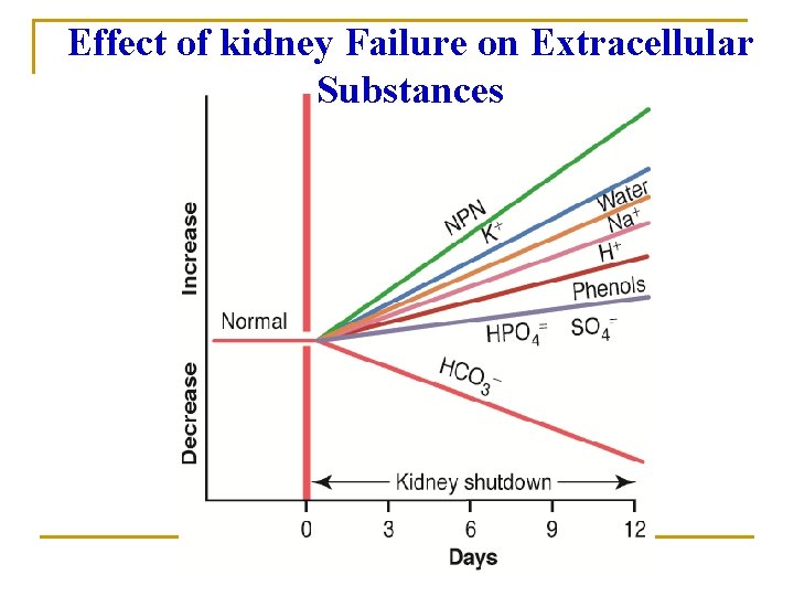 Effect of kidney Failure on Extracellular Substances Effect of kidney Failure on Extracellular Substances