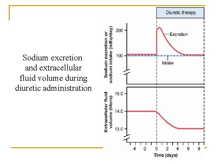 Sodium excretion and extracellular fluid volume during diuretic administration Sodium excretion and extracellular fluid volume during diuretic administration