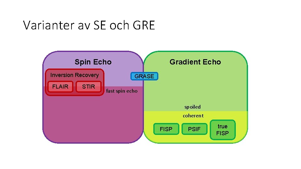 Varianter av SE och GRE Spin Echo Inversion Recovery FLAIR STIR Gradient Echo GRASE