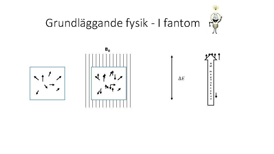 Grundläggande fysik - I fantom B 0 N et m a g n e