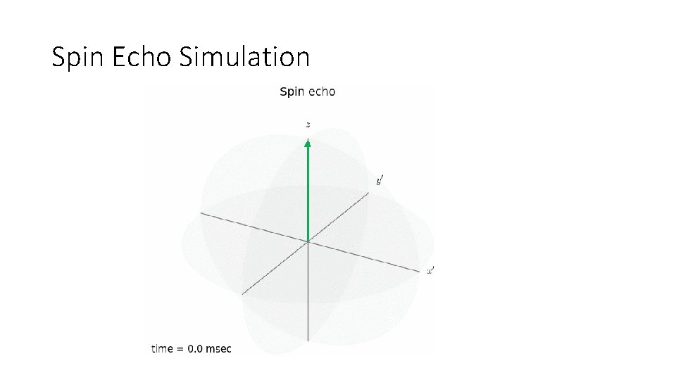 Spin Echo Simulation 