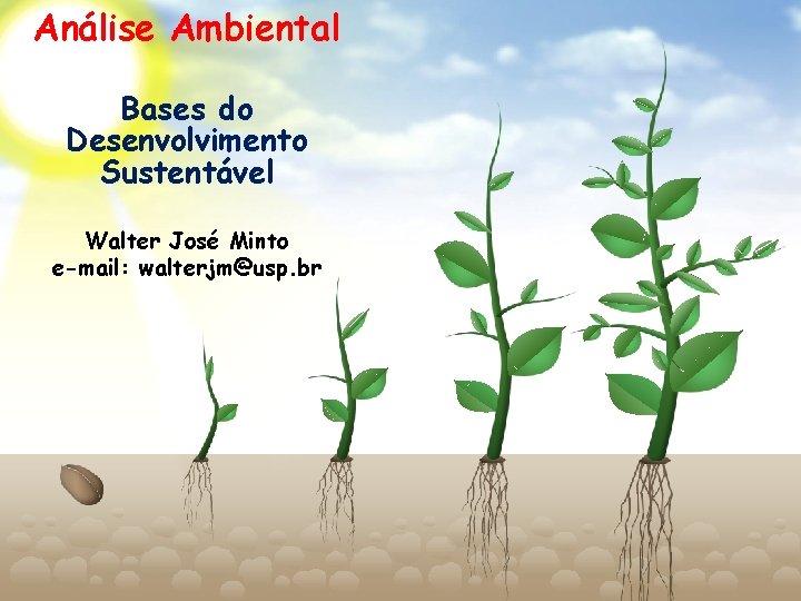 Análise Ambiental Bases do Desenvolvimento Sustentável Walter José Minto e-mail: walterjm@usp. br 