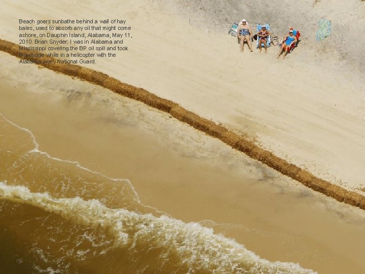 Beach goers sunbathe behind a wall of hay bales, used to absorb any oil