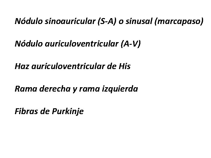 Nódulo sinoauricular (S-A) o sinusal (marcapaso) Nódulo auriculoventricular (A-V) Haz auriculoventricular de His Rama