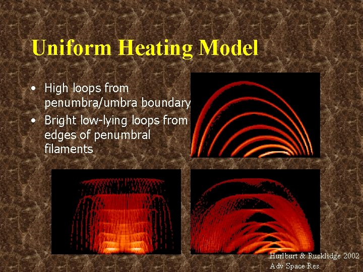 Uniform Heating Model • High loops from penumbra/umbra boundary • Bright low-lying loops from