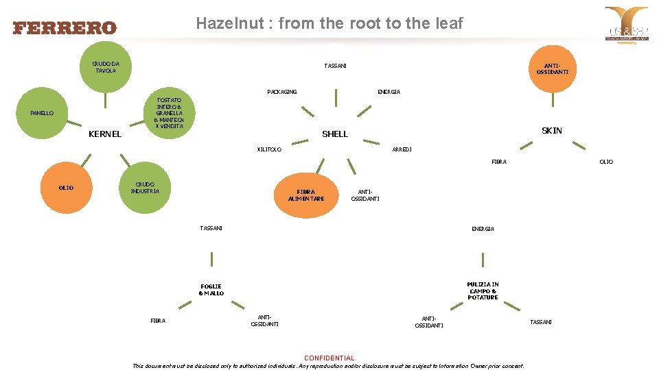 Hazelnut : from the root to the leaf CRUDO DA TAVOLA ANTIOSSIDANTI TASSANI PACKAGING