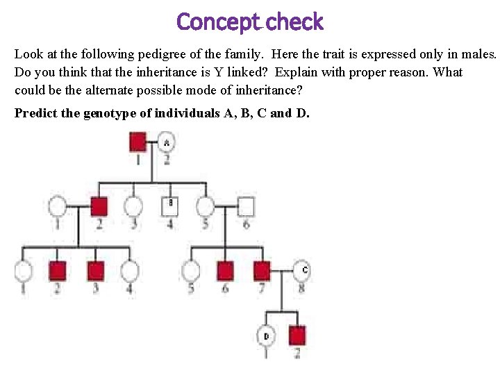 Concept check Look at the following pedigree of the family. Here the trait is Concept check Look at the following pedigree of the family. Here the trait is