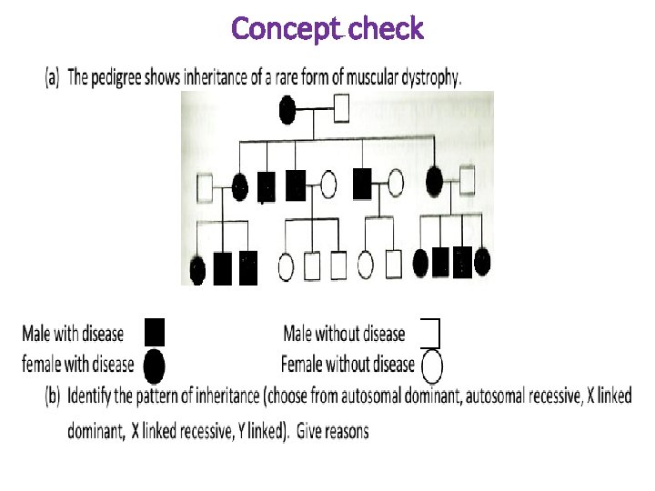 Concept check 