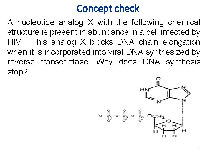 Concept check A nucleotide analog X with the following chemical structure is present in