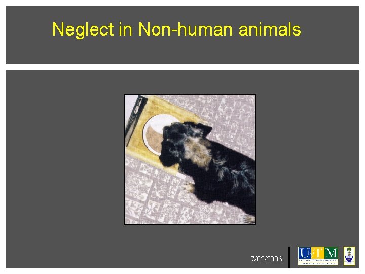 Neglect in Non-human animals 7/02/2006 Neglect in Non-human animals 7/02/2006