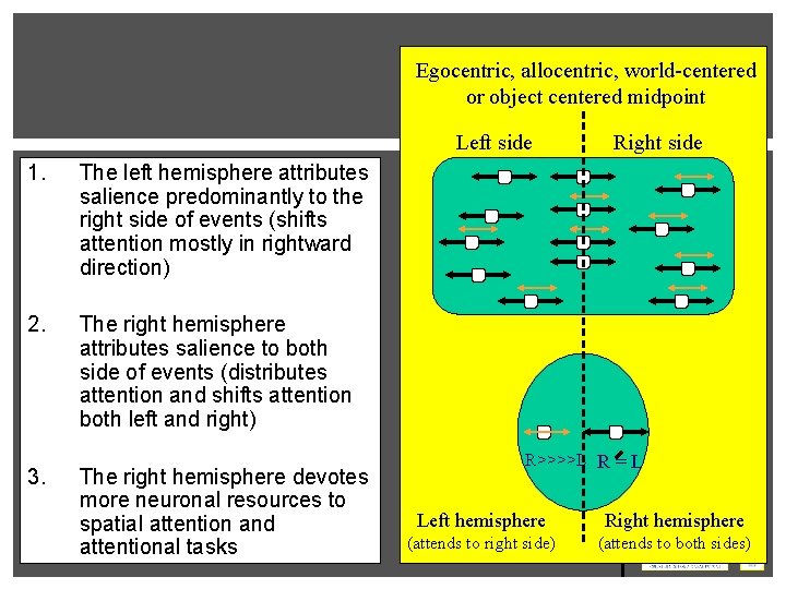 Egocentric, allocentric, world-centered or object centered midpoint Left side 1. The left hemisphere attributes