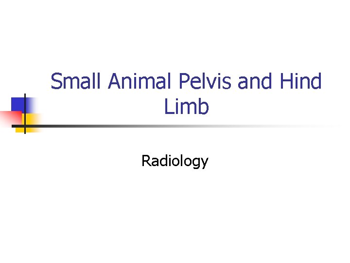 Small Animal Pelvis and Hind Limb Radiology 