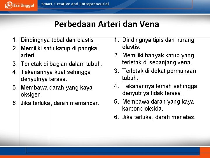 Perbedaan Arteri dan Vena 1. Dindingnya tebal dan elastis 2. Memiliki satu katup di