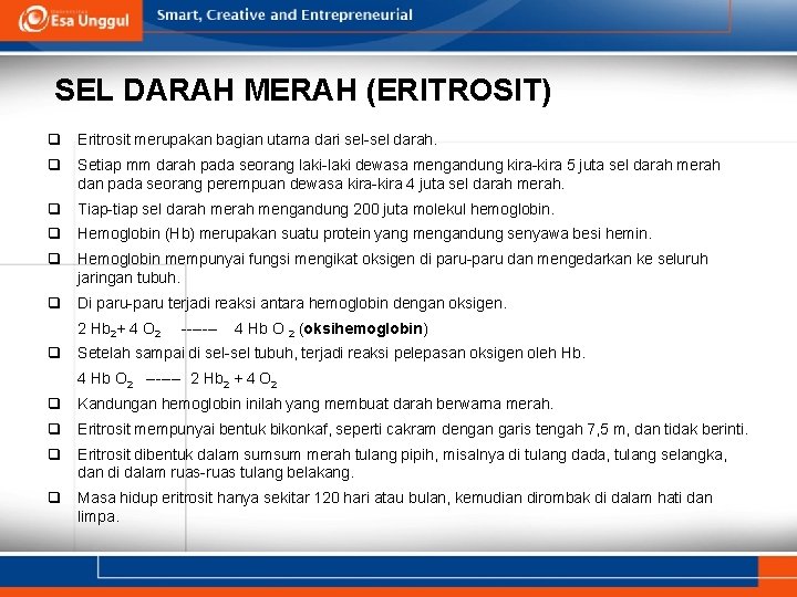 SEL DARAH MERAH (ERITROSIT) q Eritrosit merupakan bagian utama dari sel-sel darah. q Setiap