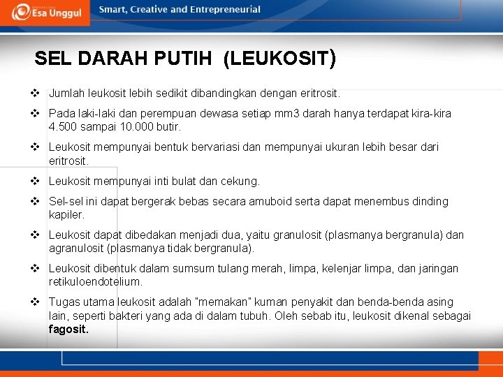 SEL DARAH PUTIH (LEUKOSIT) v Jumlah leukosit lebih sedikit dibandingkan dengan eritrosit. v Pada