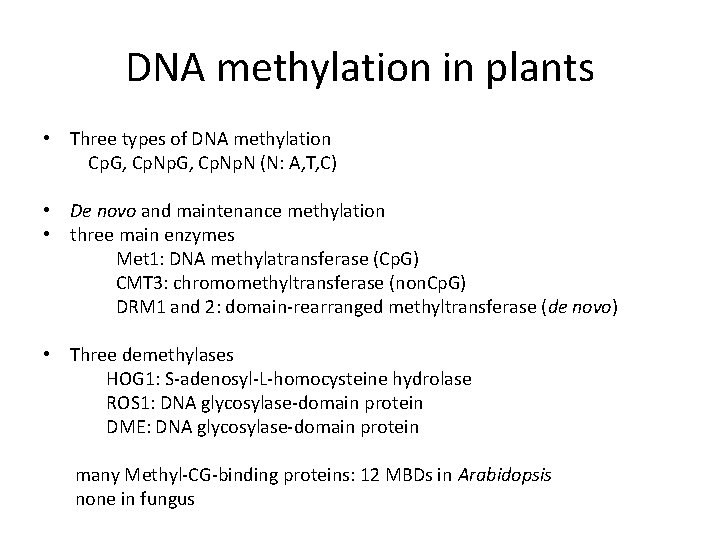 DNA methylation in plants • Three types of DNA methylation Cp. G, Cp. Np.
