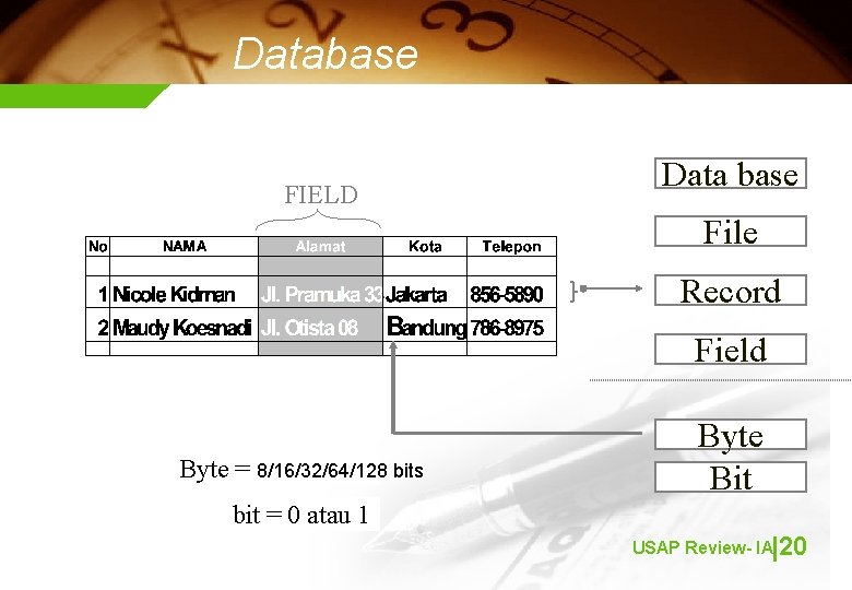 Database FIELD Data base File Record Field Byte = 8/16/32/64/128 bits Byte Bit bit