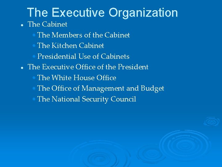 The Executive Organization l l The Cabinet • The Members of the Cabinet •