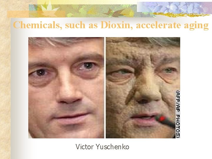 Chemicals, such as Dioxin, accelerate aging Victor Yuschenko 