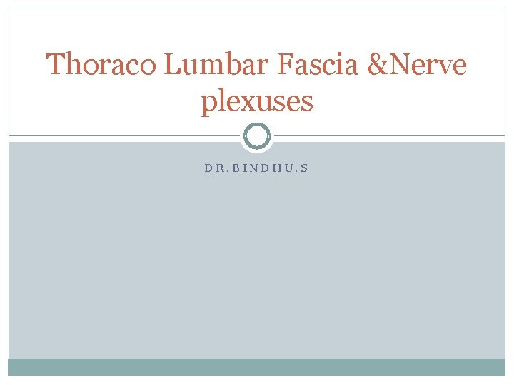 Thoraco Lumbar Fascia &Nerve plexuses DR. BINDHU. S 