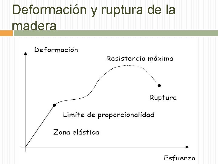 CARACTERSTICAS FSICAS Y MECNICAS DE LAS MADERAS Caractersticas
