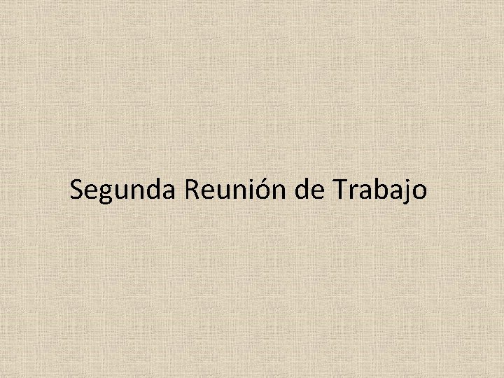 Segunda Reunión de Trabajo 