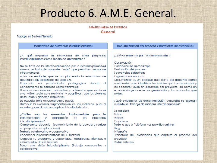 Producto 6. A. M. E. General. 