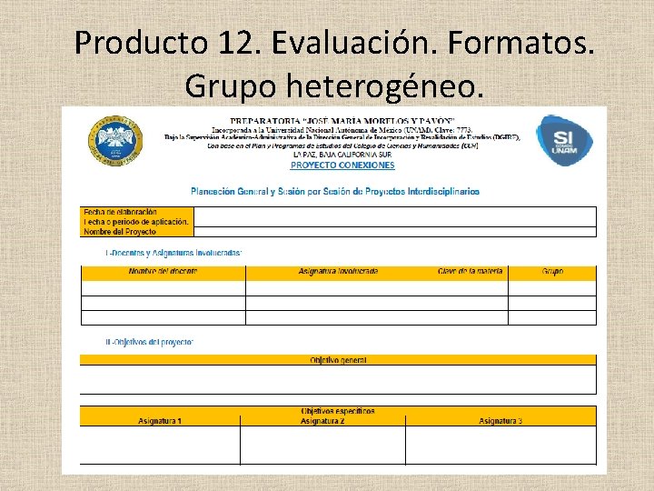 Producto 12. Evaluación. Formatos. Grupo heterogéneo. 