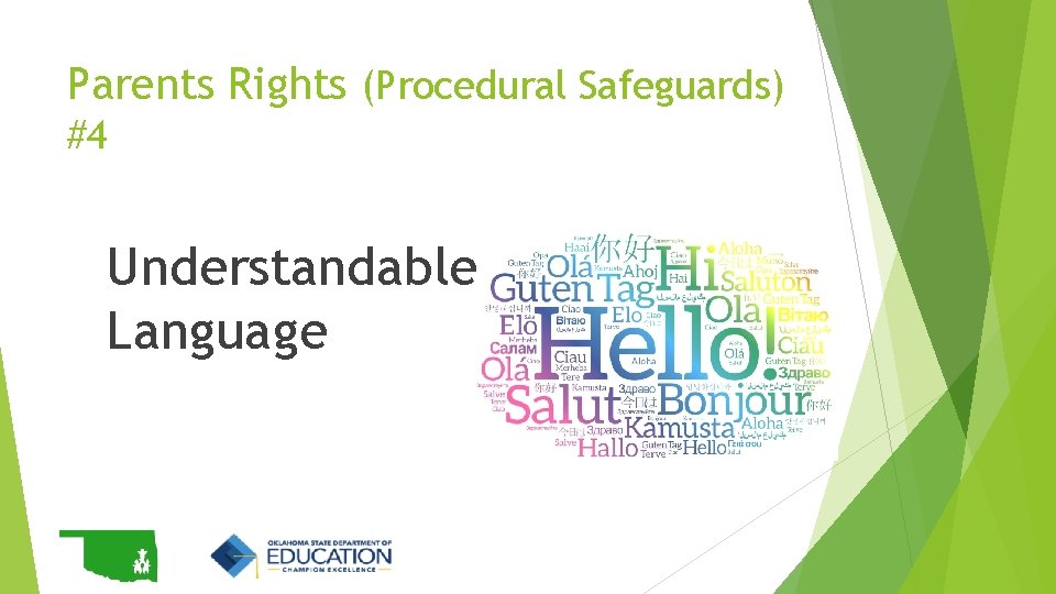 Parents Rights (Procedural Safeguards) #4 Understandable Language 