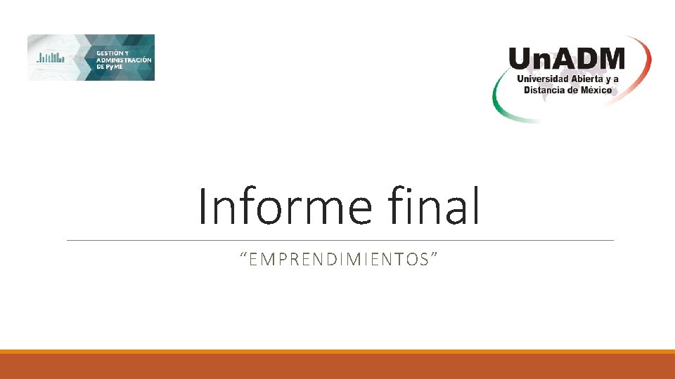 Informe final “EMPRENDIMIENTOS” 