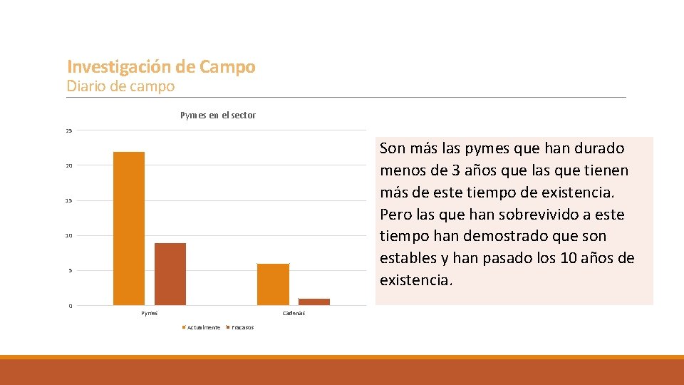 Investigación de Campo Diario de campo Pymes en el sector 25 Son más las