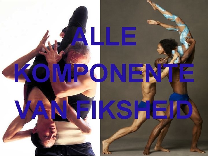ALLE KOMPONENTE VAN FIKSHEID 