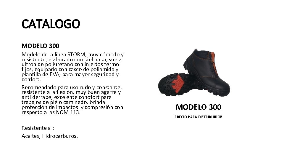 CATALOGO MODELO 300 Modelo de la línea STORM, muy cómodo y resistente, elaborado con
