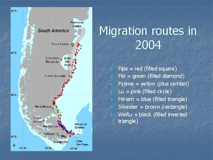 Migration routes in 2004 n n n n Fips = red (filled square) Flo