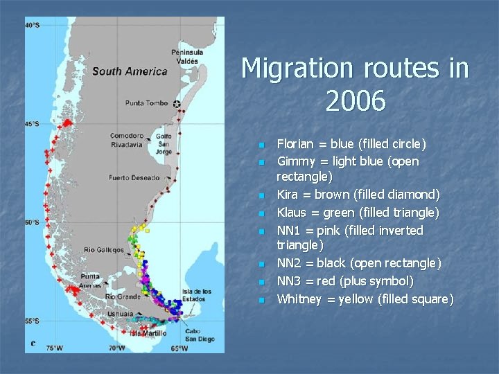 Migration routes in 2006 n n n n Florian = blue (filled circle) Gimmy