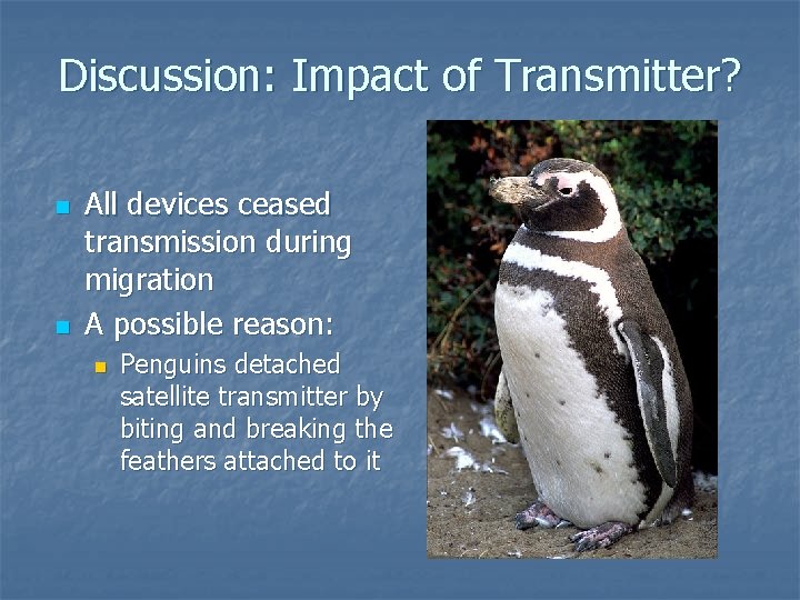 Discussion: Impact of Transmitter? n n All devices ceased transmission during migration A possible