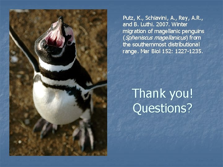 Putz, K. , Schiavini, A. , Rey, A. R. , and B. Luthi. 2007.