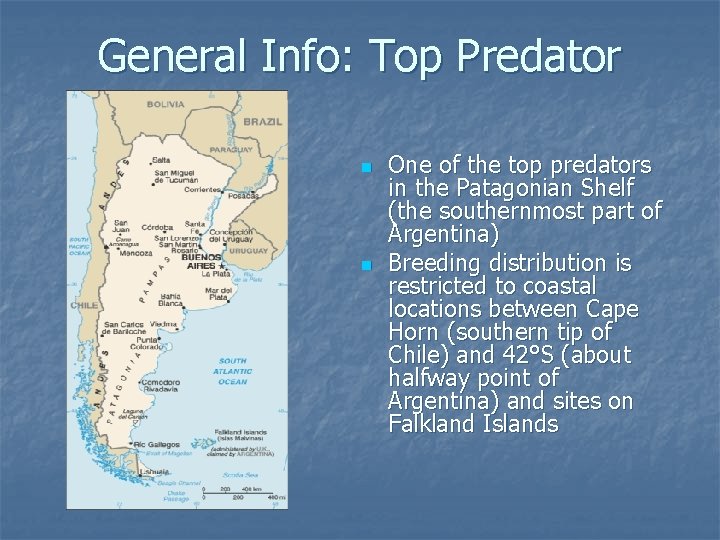 General Info: Top Predator n n One of the top predators in the Patagonian
