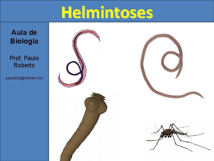 Helmintoses Aula de Biologia Prof. Paulo Roberto paulobhz@hotmail. com 