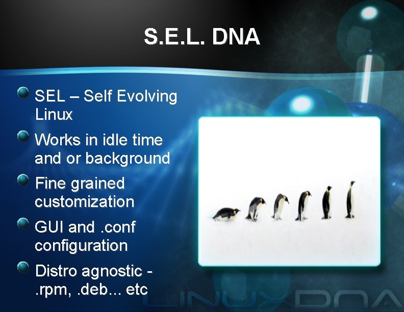 S. E. L. DNA SEL – Self Evolving Linux Works in idle time and