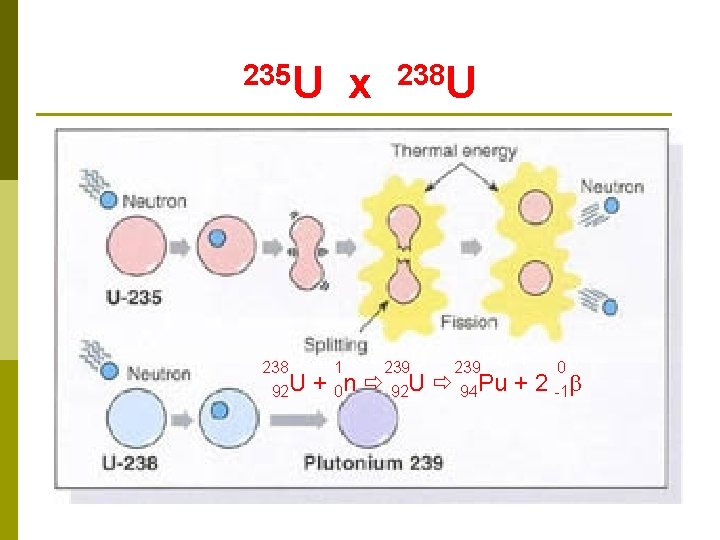235 U x 238 U + 1 n 239 U 239 Pu + 0