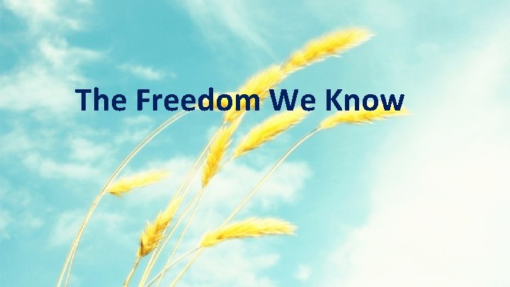 The Freedom We Know 