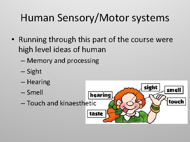 Human Sensory/Motor systems • Running through this part of the course were high level